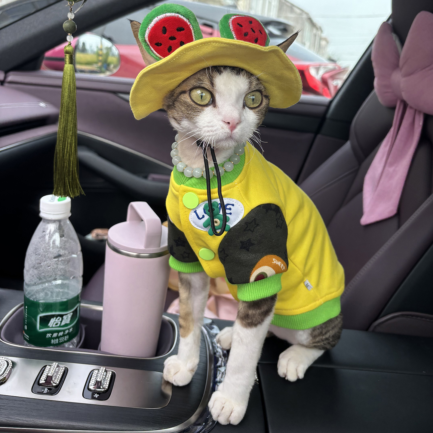 满50包邮无毛德文猫衣服加厚卫衣春秋保暖网红时尚猫渔夫帽子