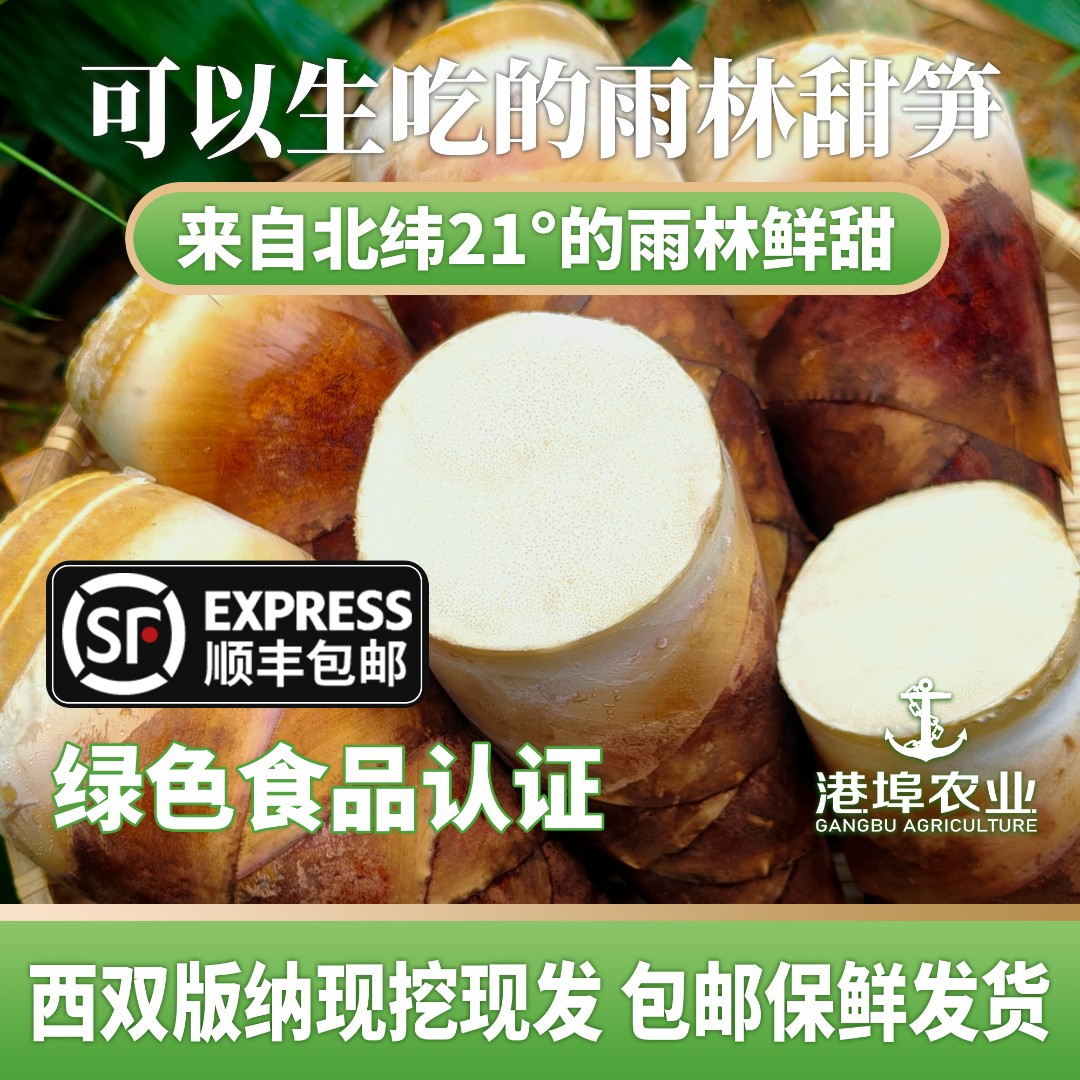 西双版纳雨林甜龙竹笋/甜笋/嫩笋/鲜笋现挖现发【顺丰包邮】