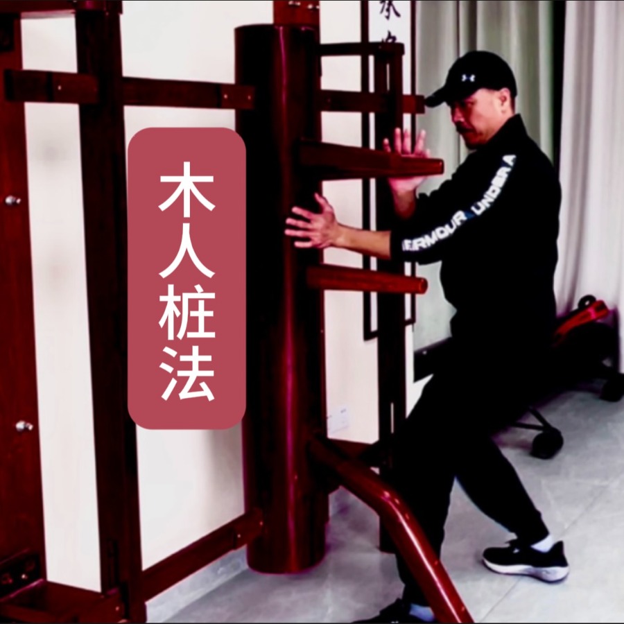 木人桩法套路详细教学