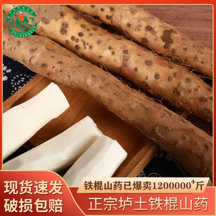 河南温县新鲜正宗铁棍山药怀山药正宗温县垆土山药垆土铁棍山药