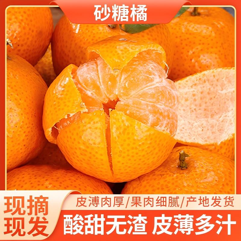 正宗广西沙糖桔新鲜水果现摘现发爆甜多汁