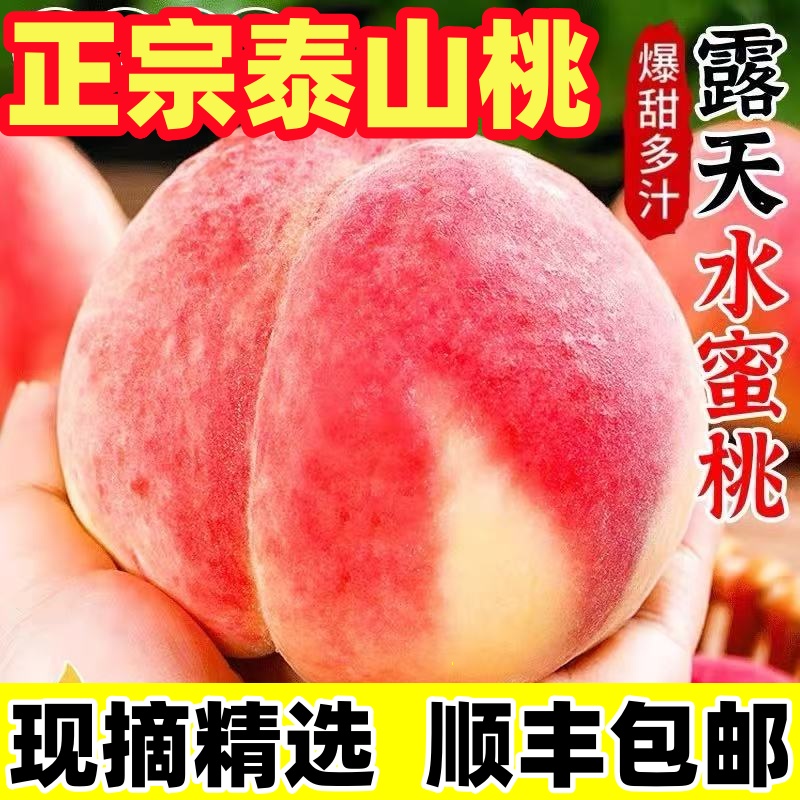 正宗泰山肥城桃金秋红蜜大果现摘现发顺丰包邮