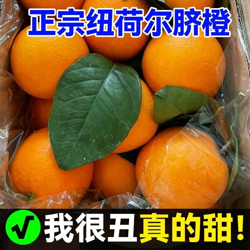 现摘纽荷尔橙子新鲜脐橙应季水果超甜整箱批发薄皮非赣南冰糖脐橙