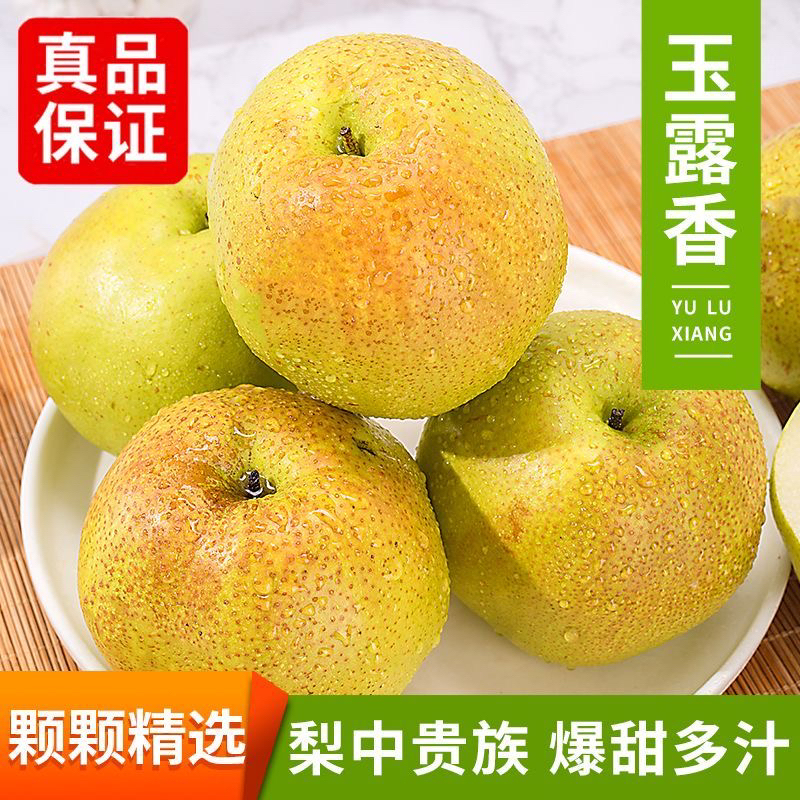 隰县玉露香梨产地直发脆甜多汁新鲜水果整箱礼盒包装