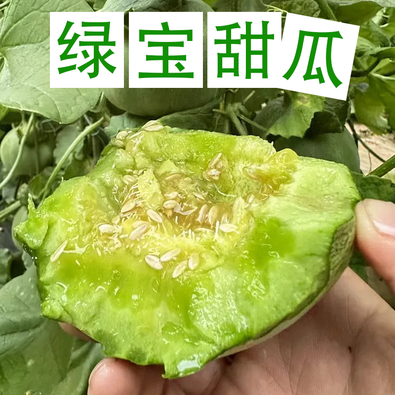 【良工专属直播福利，拍3斤送2斤，到手5斤装】绿宝石甜瓜现摘现发