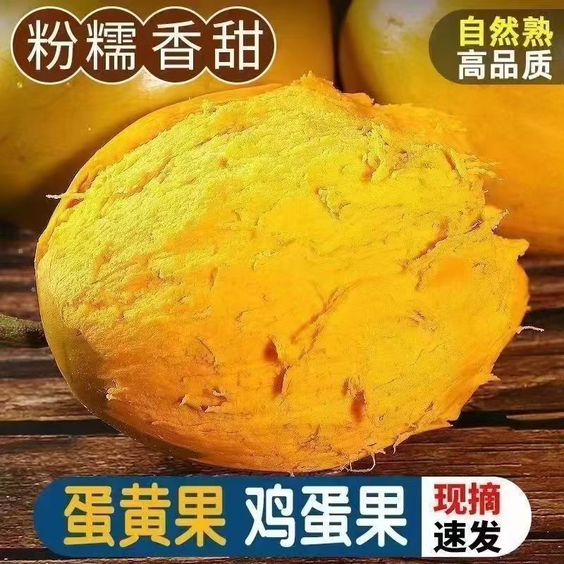 新鲜蛋黄果软糯面当季热带水果特产鸡蛋果狮子头果桃榄孕妇宝宝果