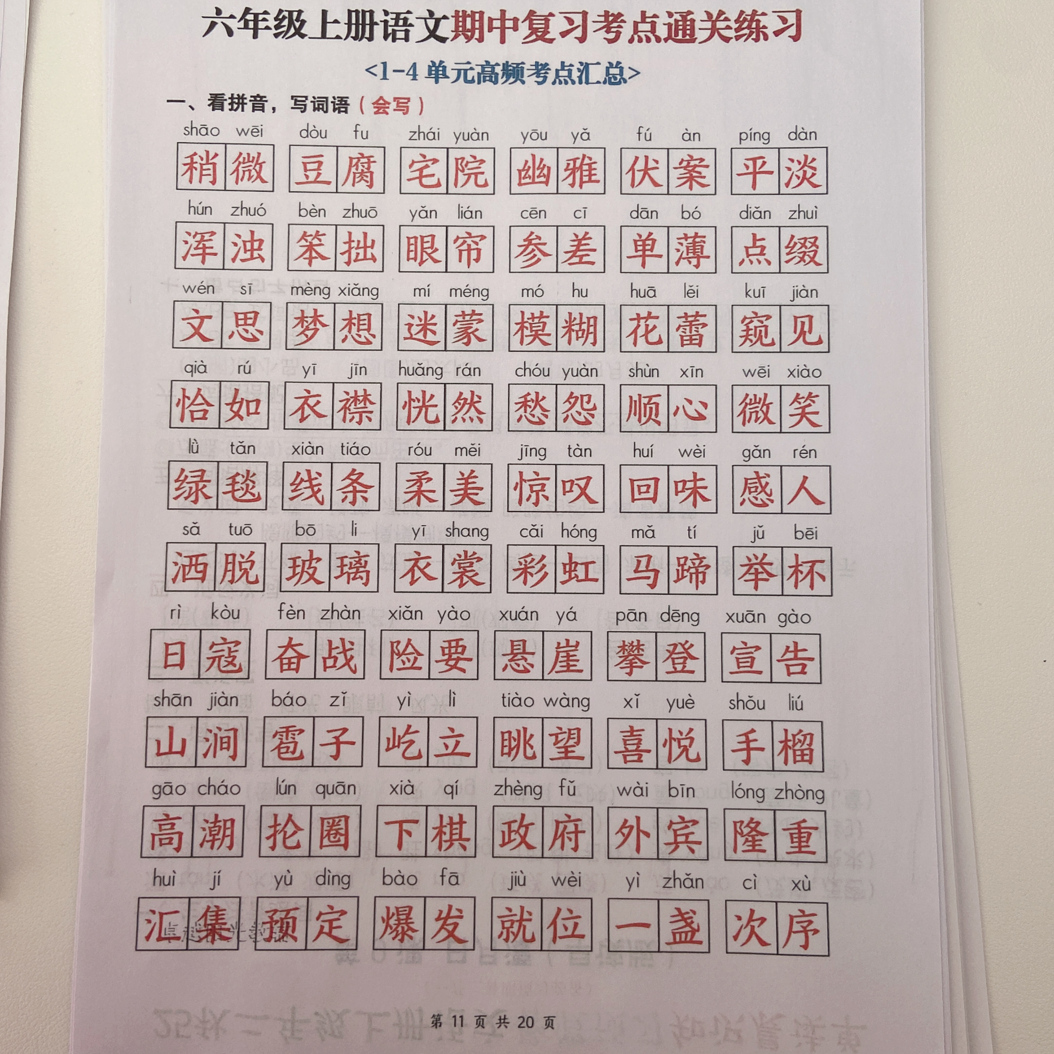 25新六年级上册语文期中复习考点通关练习 +答案