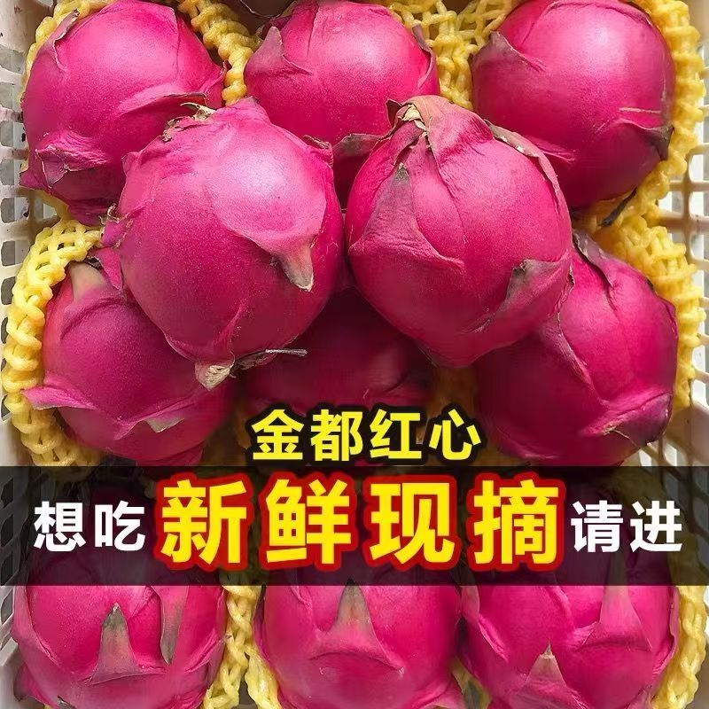 【新鲜金都一号红心火龙果】新鲜水果整箱10斤红肉超甜大果白批发
