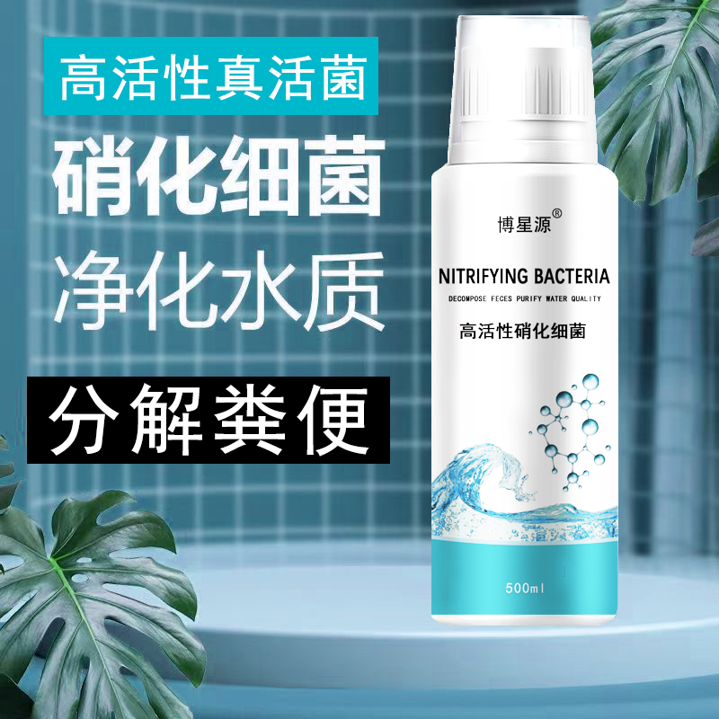 鱼缸硝化细菌硝化菌养鱼用品水族鱼缸净水剂活菌水质稳定