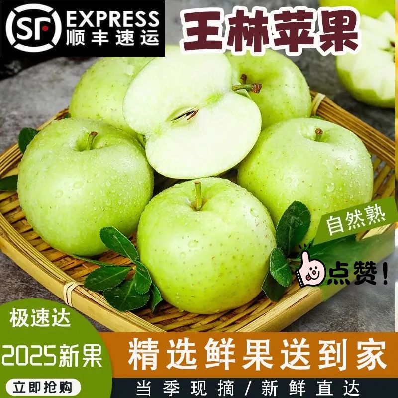 【现摘现发】头茬王林青苹果清甜多汁爽口顺丰包邮当季新鲜王林苹果