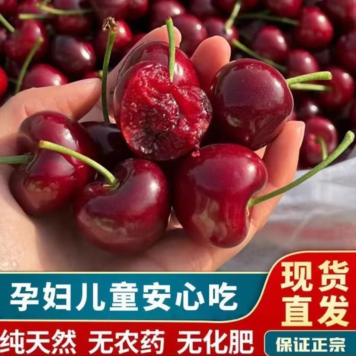 山东头茬美早新鲜自然成熟瑛 桃