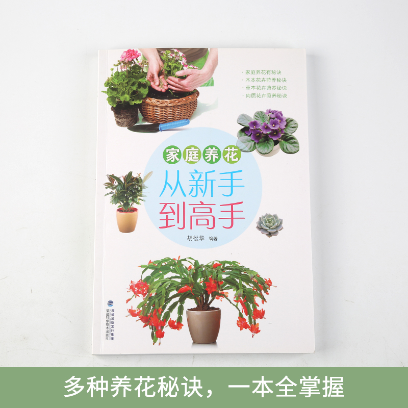 家庭养花 从新手到高手