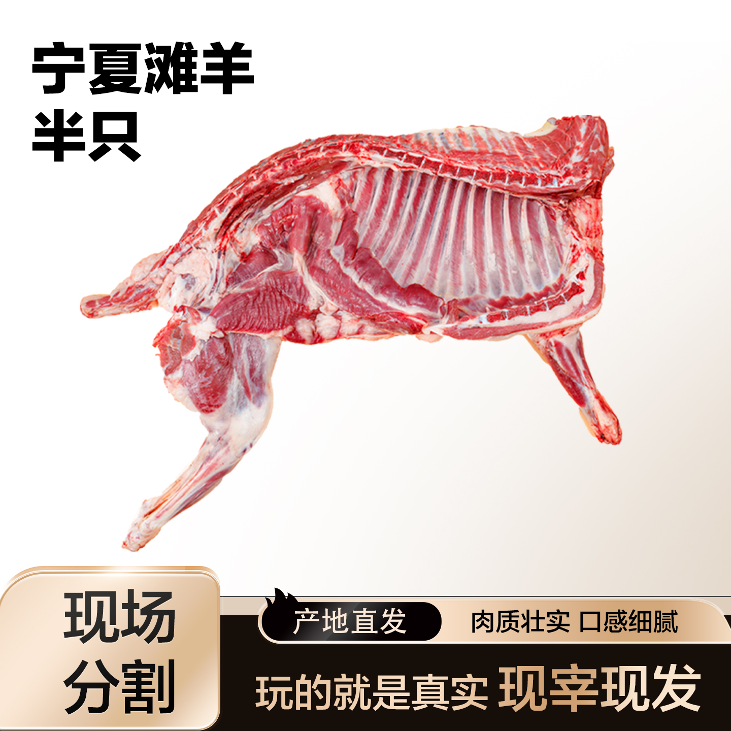 10斤正宗宁夏滩羊半只新鲜现宰