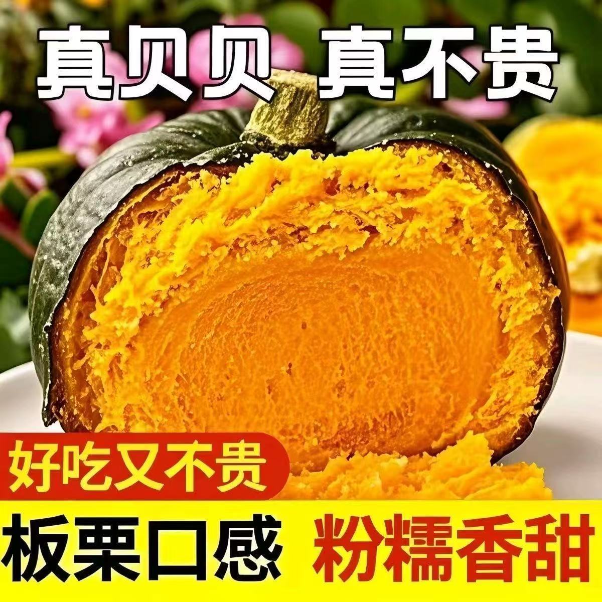 b内蒙古正宗沙地贝贝南瓜新鲜当季粉糯香甜板栗味辅食