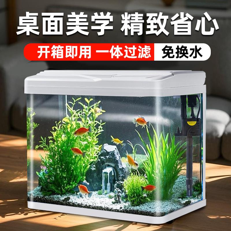 鱼缸客厅小型玻璃金鱼缸过滤制氧一体式桌面自循环免换水生态家用