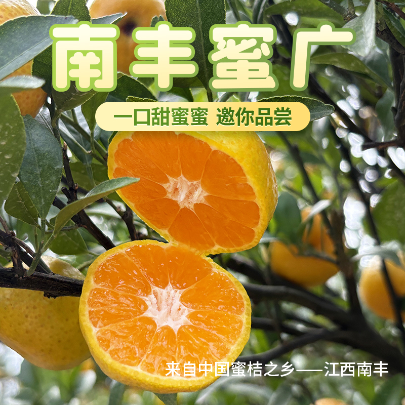 南丰蜜桔蜜广现摘蜜桔新鲜应季水果