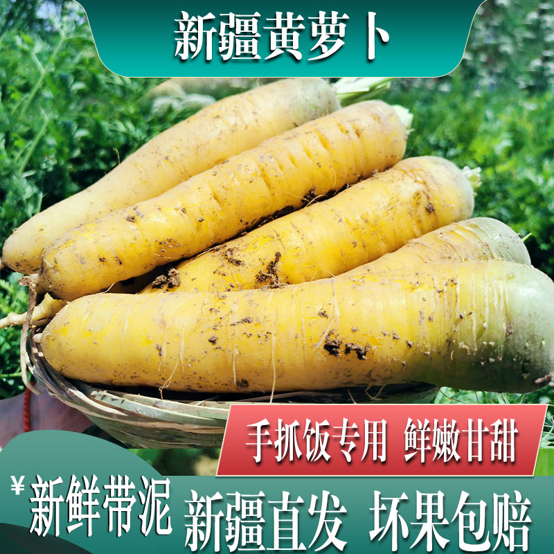 新疆黄萝卜抓饭专用胡萝卜新鲜蔬菜缸子肉配菜宝宝辅食3斤包邮