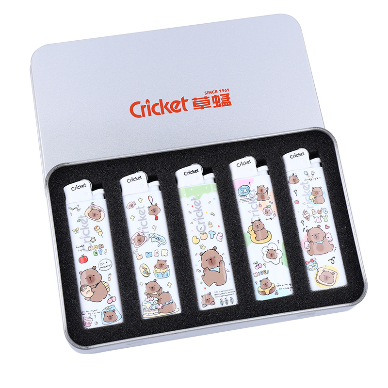 创意高颜值防爆一次性打火机小雏菊款式适合送男女礼物