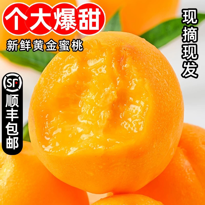 【顺丰冷链】丹东头茬黄桃现摘现发黄金蜜桃香甜多汁顺丰包邮