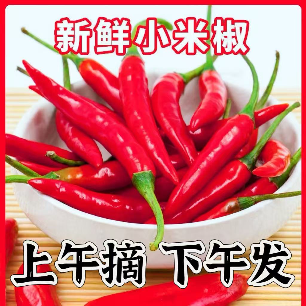 鲜小米椒特辣小米辣鲜椒朝天椒红辣椒指天椒泡椒红辣椒产地直发