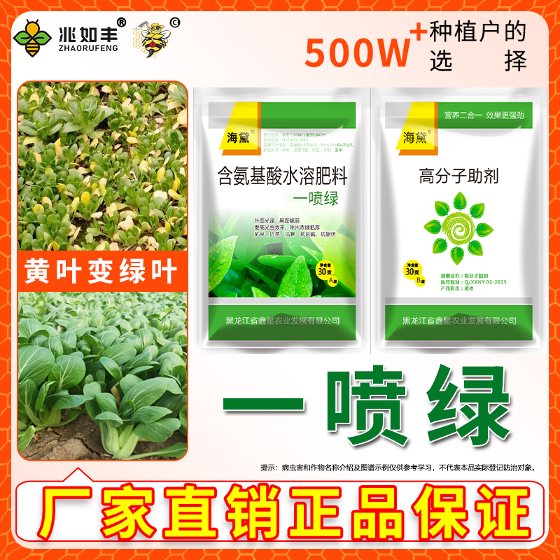 兆如丰黄叶一喷绿壮苗蔬菜叶绿素防落花落果营养液氨基酸水溶肥料
