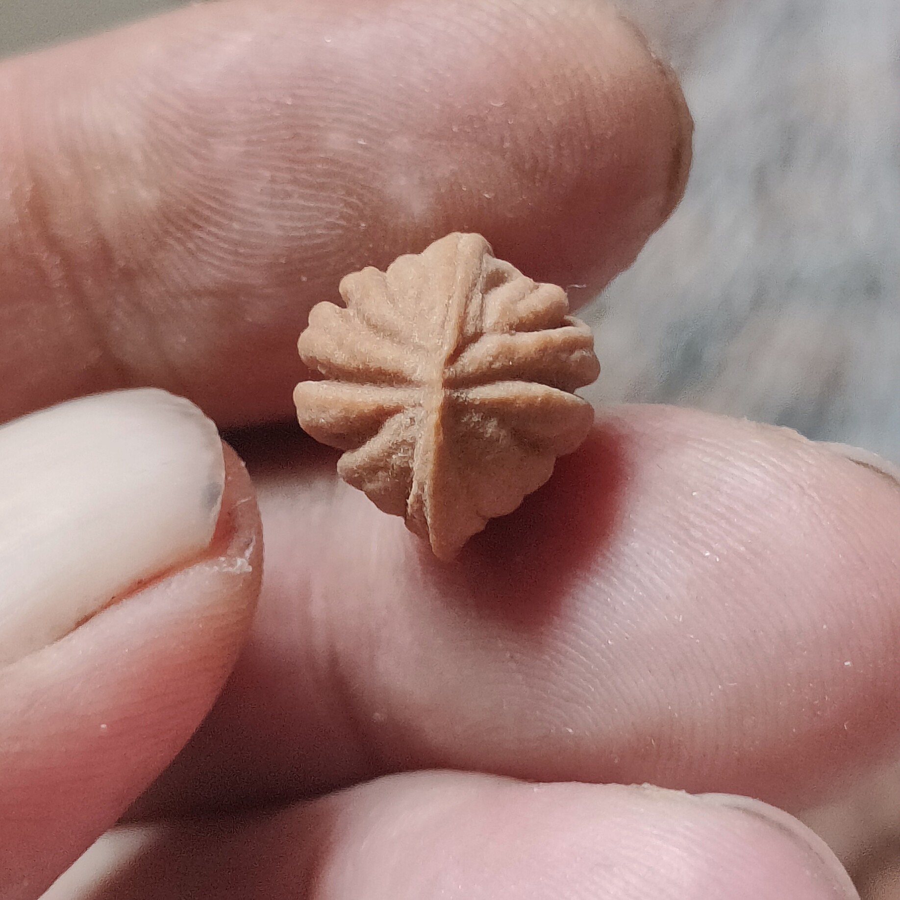 龙纹佛手通货，主力尺寸12/13，100颗一组起，一颗1元。共108元