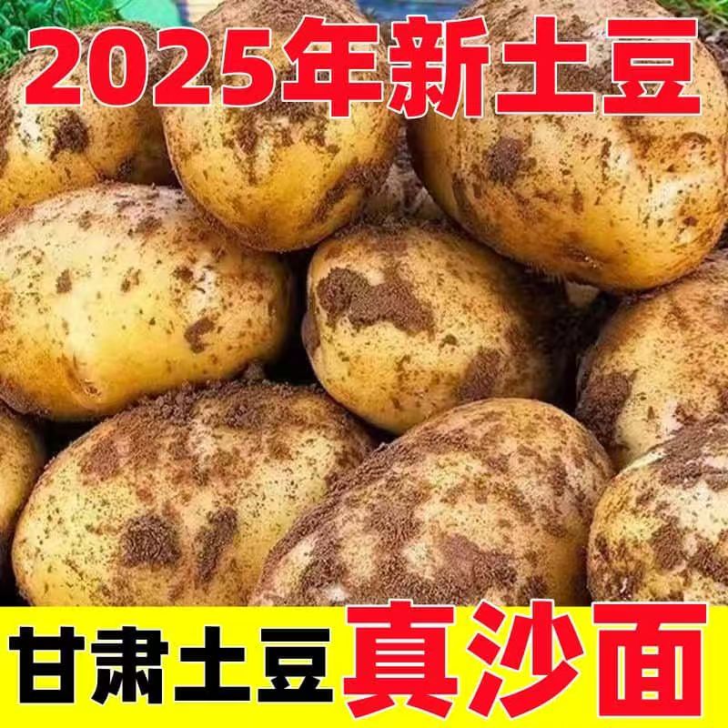 2025甘肃现挖新鲜土豆黄皮黄心沙面土豆农家自种洋芋马铃薯