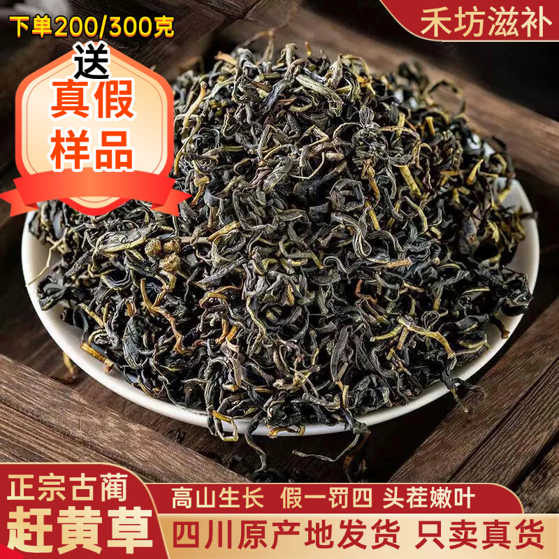【正品】正宗四川赶黄草茶干货头茬无提取煮水泡水喝搭决明子五味子