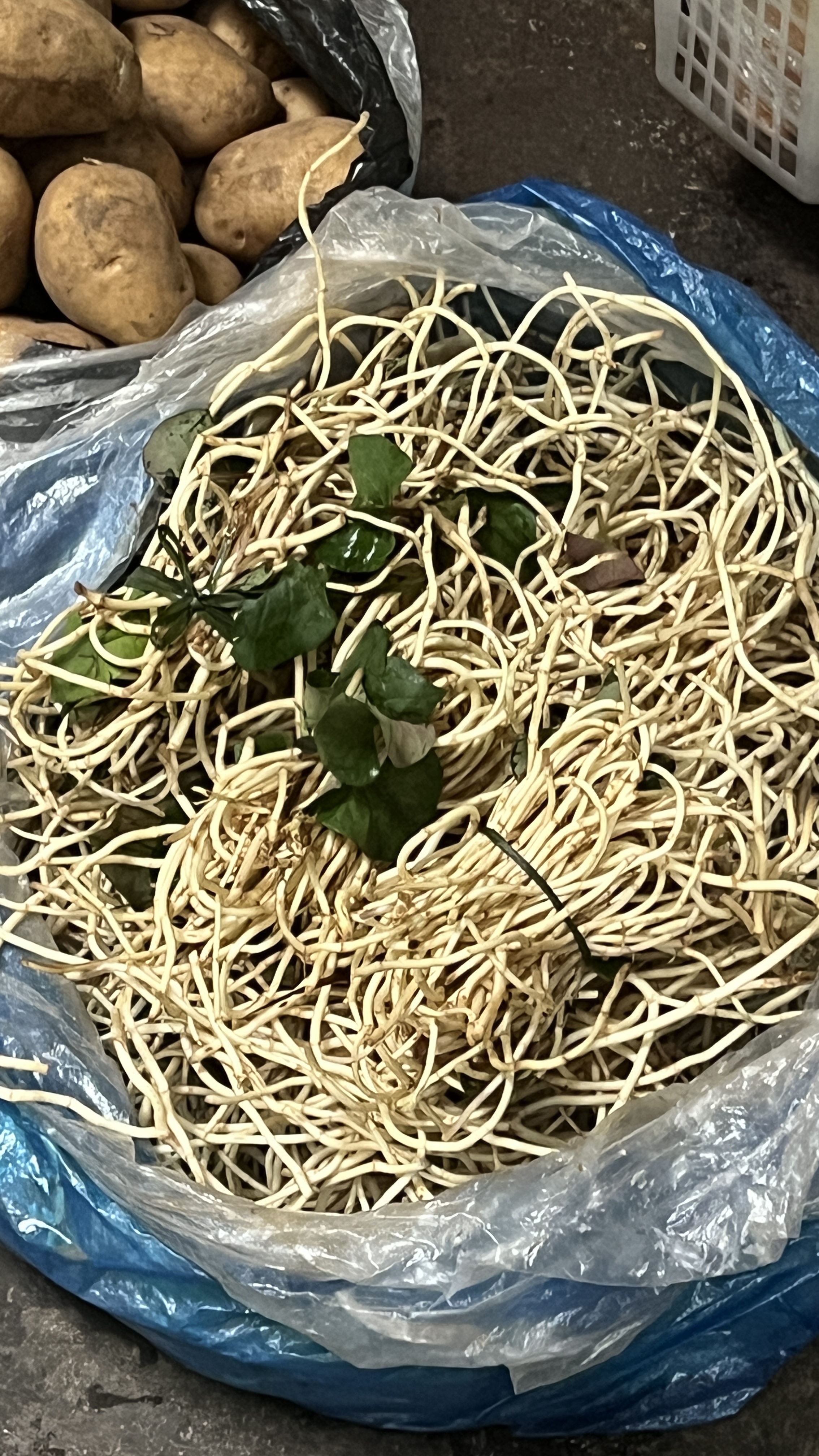 【蒋幺妹专属】农家折耳根（直播间展示为准）不接受退款慎拍