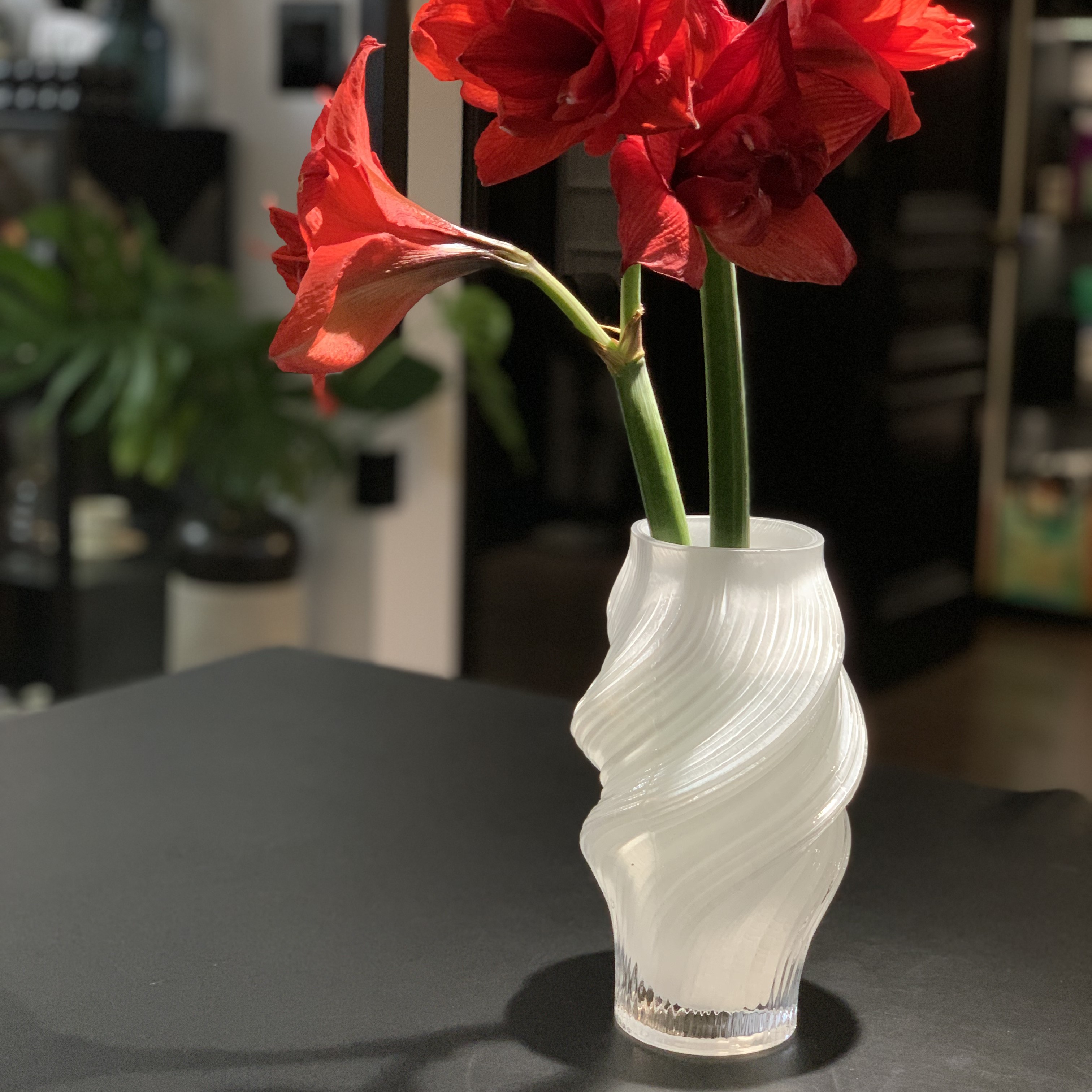 0123螺旋不规则冰激凌水培玻璃花瓶现代家居装品花器高23口径9厘