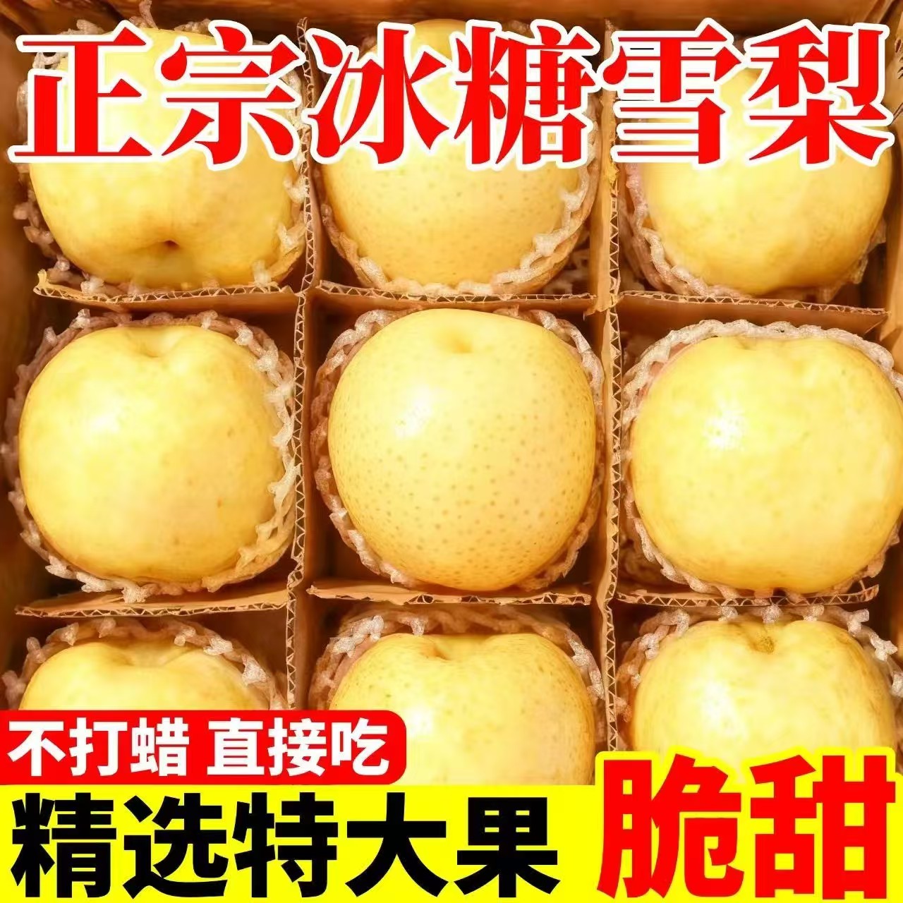 【脆甜】【河北】正宗冰糖雪梨新鲜水果应急当季薄皮大果熬炖梨膏批发