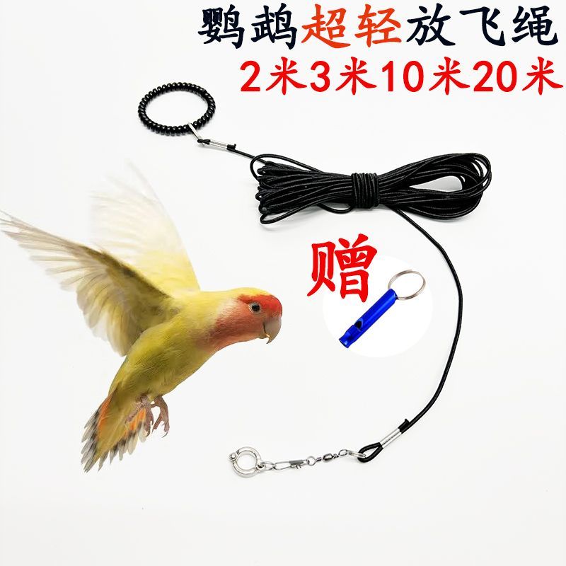 鹦鹉鸟小宠用超轻放飞绳牵引延长绳虎皮牡丹玄凤小太阳和尚遛鸟绳