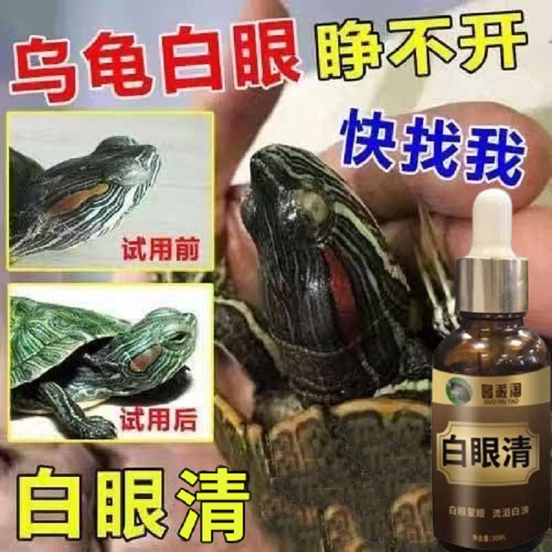 乌龟眼睛睁不开龟白眼蒙眼红肿龟眼部感染龟鳖幼龟养龟专用护龟液