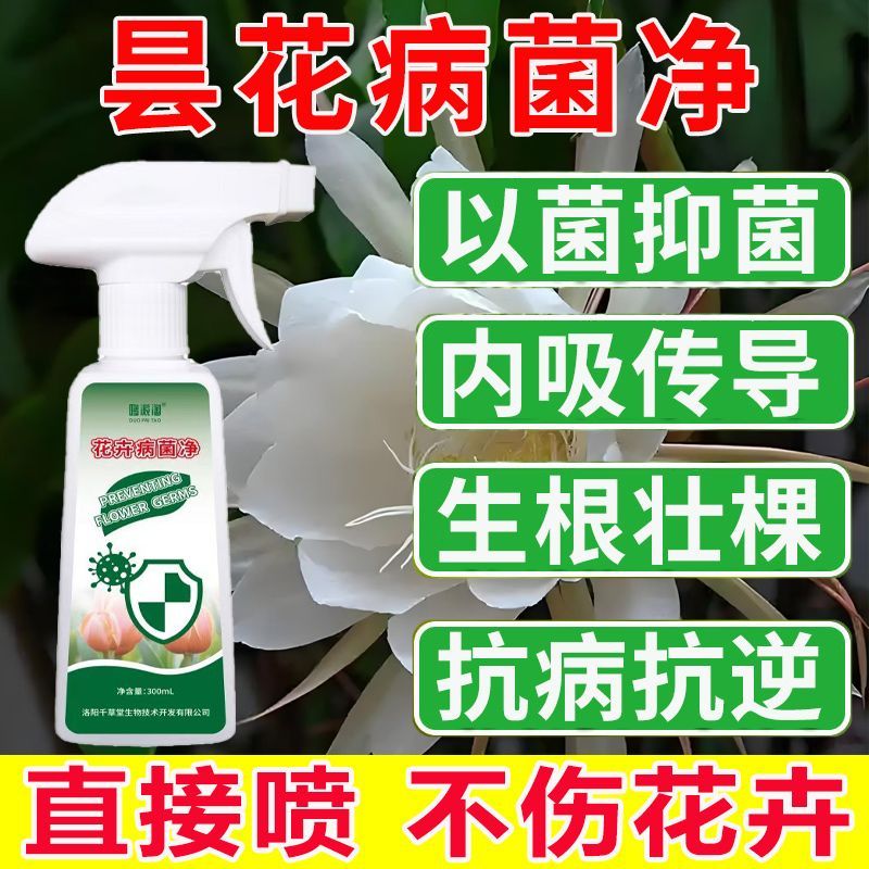 昙花专用病菌净昙花炭疽病根腐病叶斑病抗病抑菌专用营养液肥料