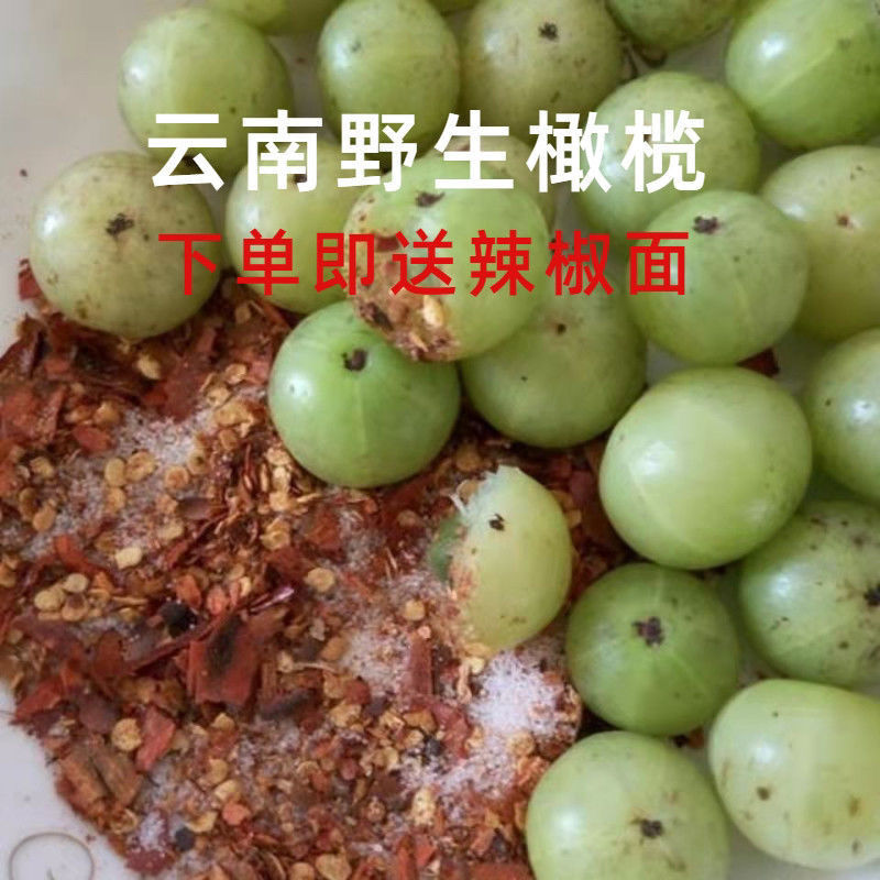 云南滇橄榄现摘油甘果新鲜余甘果泡酒特产牛甘果甘子橄榄孕妇水果
