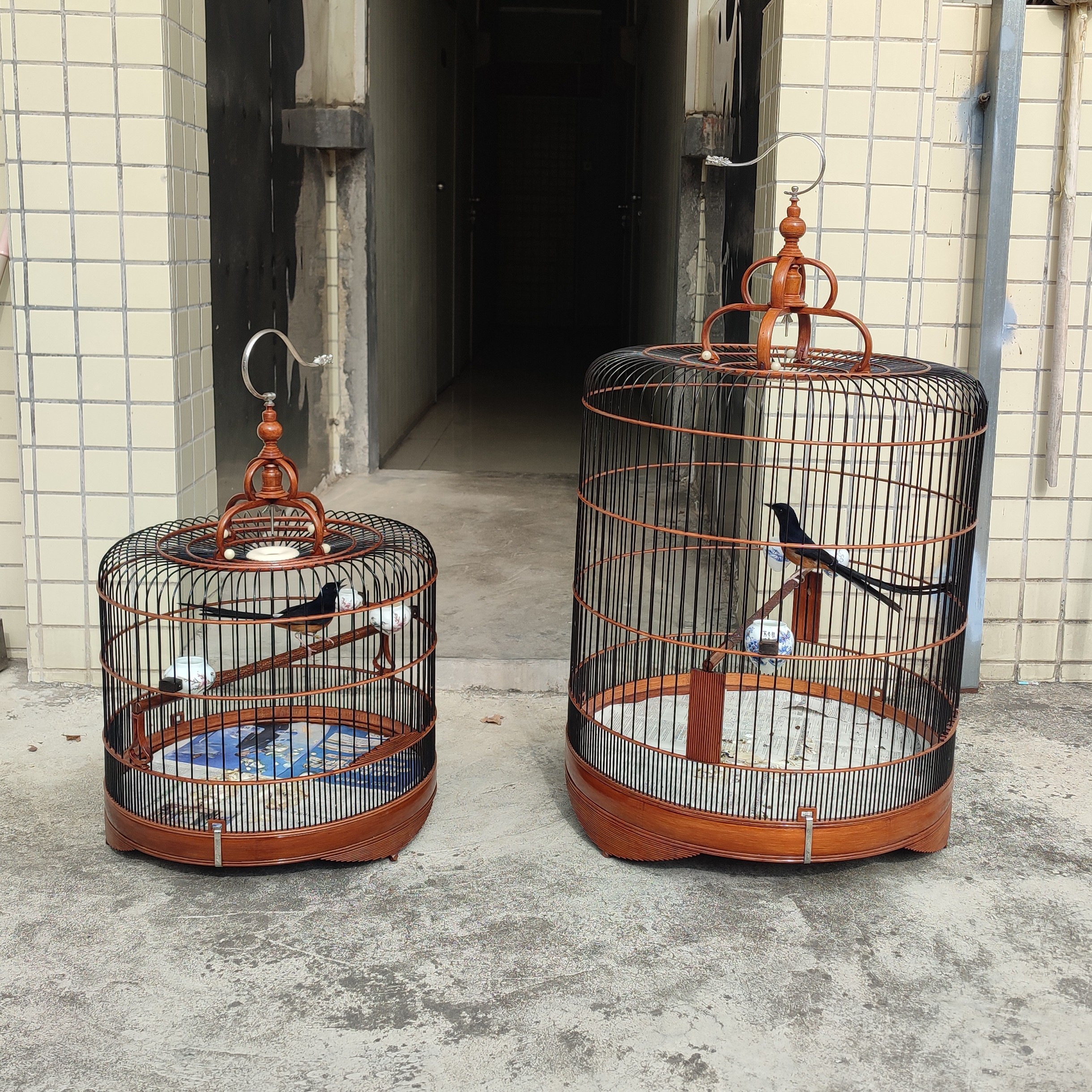 长尾四喜鸟笼松鸦八哥鹩哥大笼清远鸟笼竹制活底直径黑枝生漆广笼