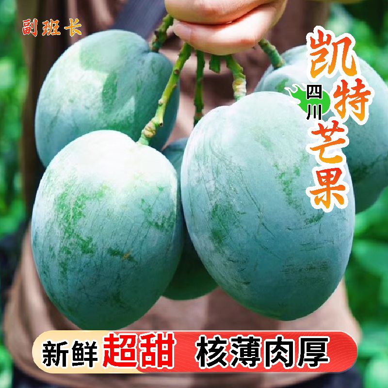 正宗攀枝花凯特芒新鲜应季水果甜心芒核薄肉厚爆甜多汁 放软吃Z1