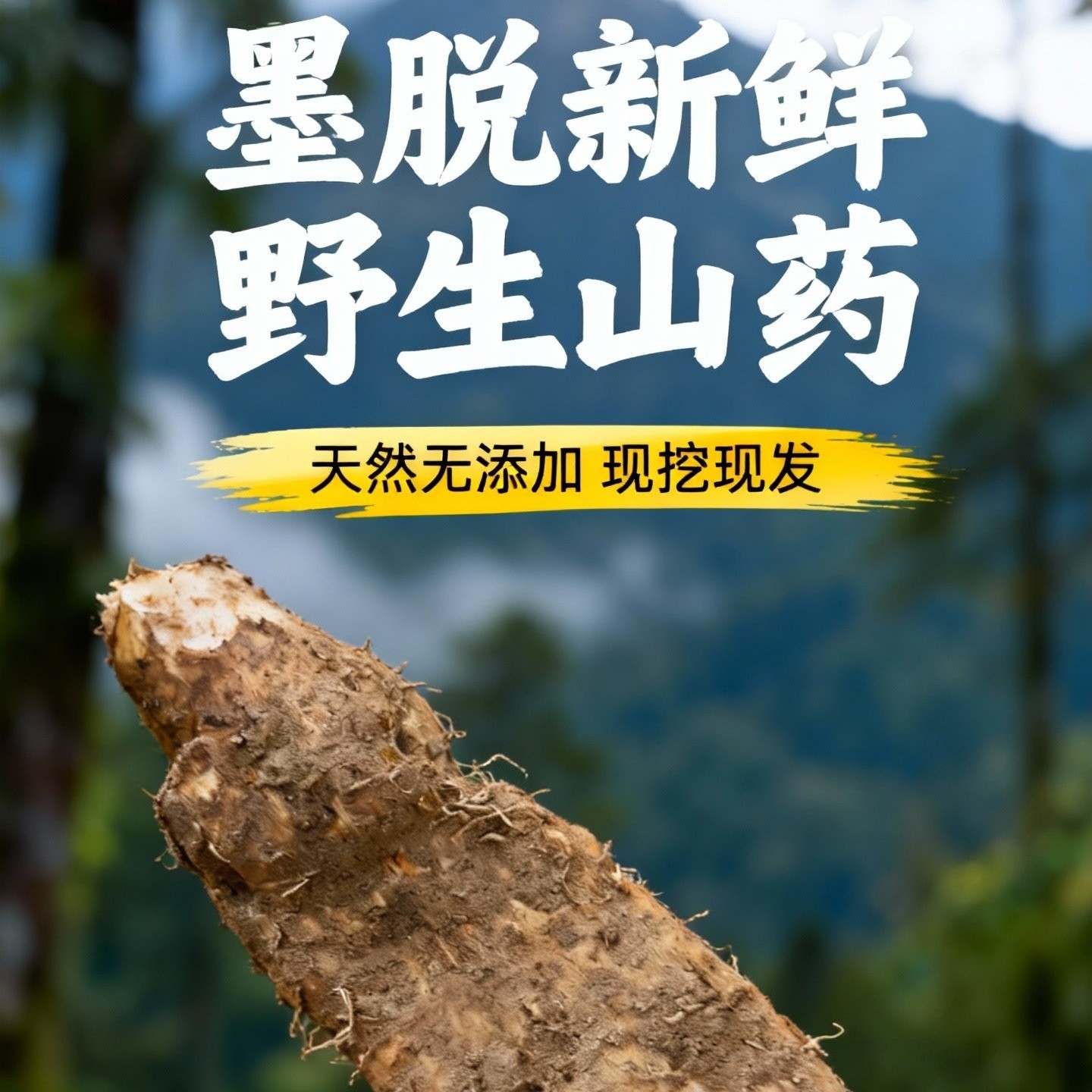 西藏秘境墨脱新鲜现挖野生山药喜马拉雅天然食材