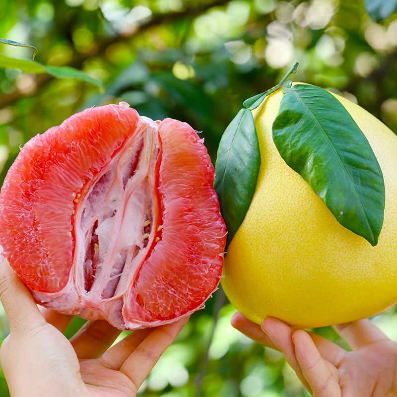 lyl福建平和三红蜜柚新鲜当季红柚水果皮薄多汁酸甜可口