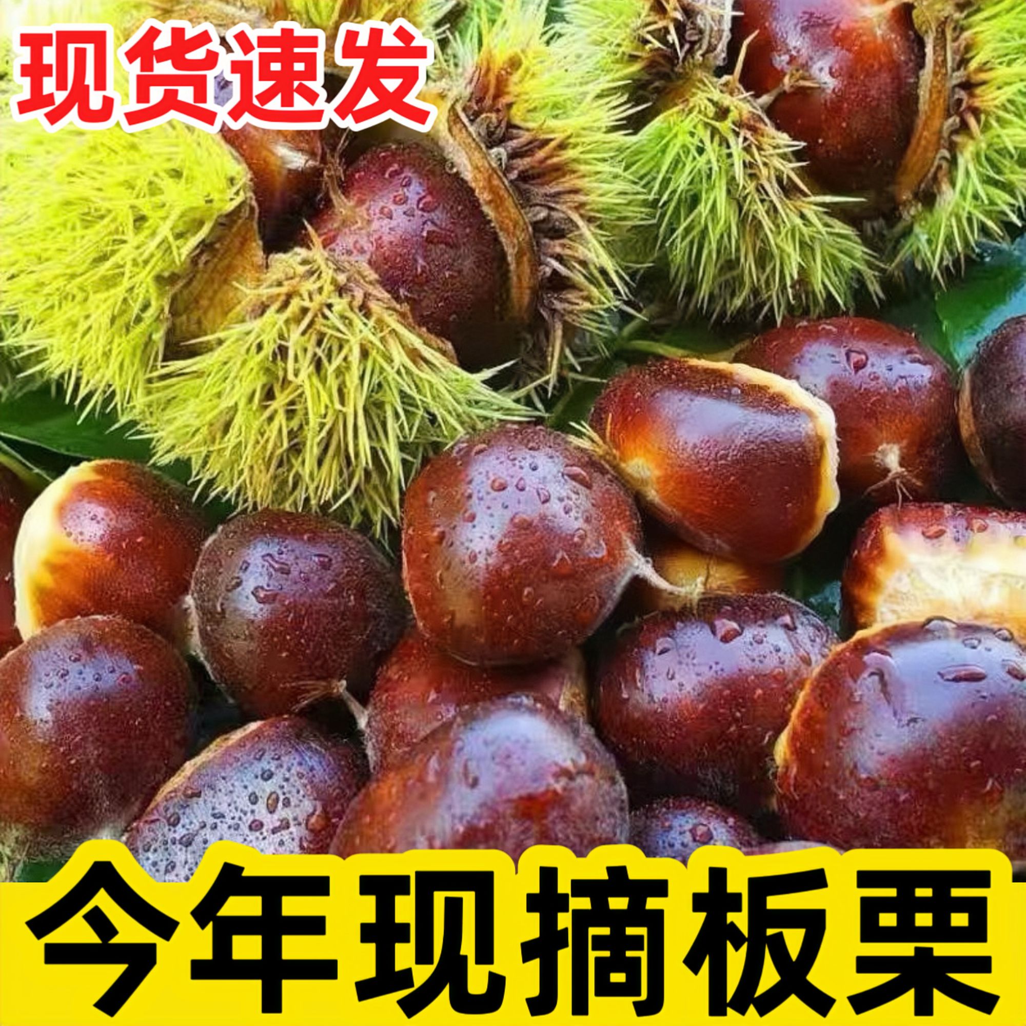 【买3斤送2斤】新鲜x现摘高山板栗当季生栗子难剥皮整箱产地直发