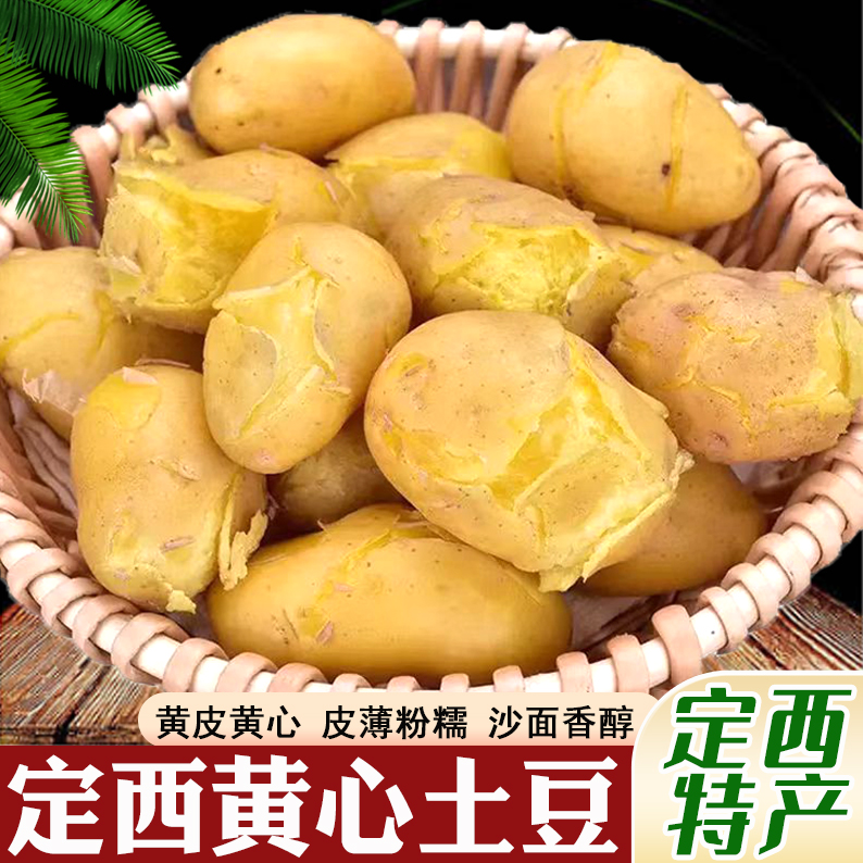2025年甘肃定西黄皮黄心粉沙糯面纱麻皮洋芋新鲜土豆马铃薯