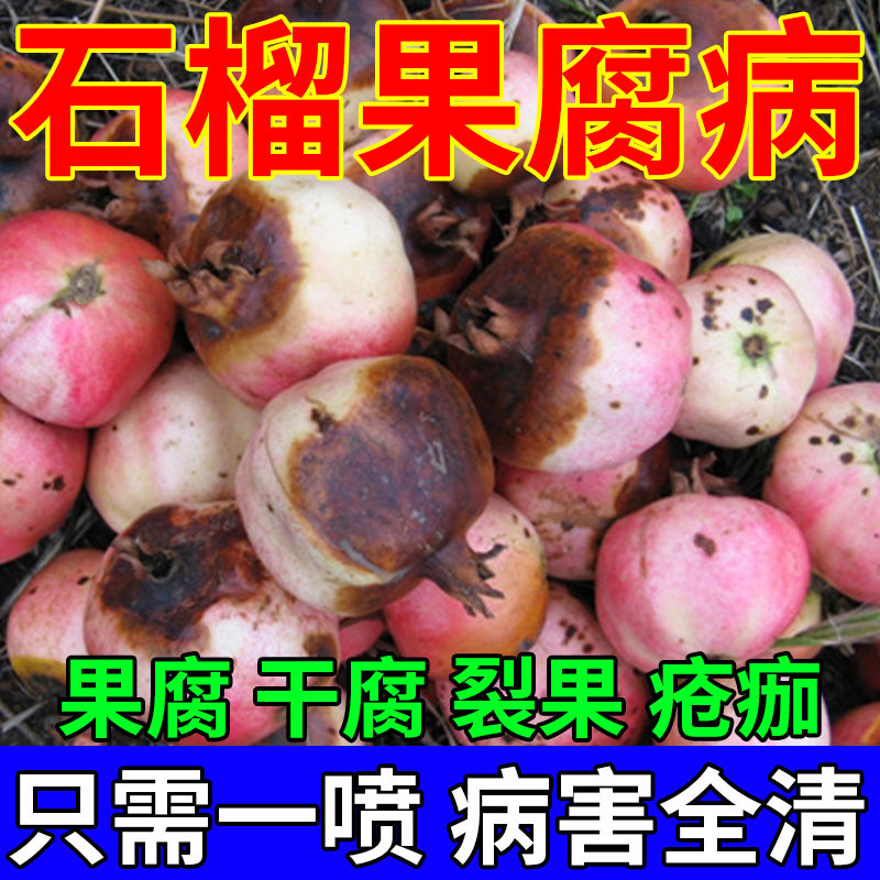 石榴病全管石榴烂果腐烂干腐病炭疽褐斑煤污黑霉干枯病专用叶面肥