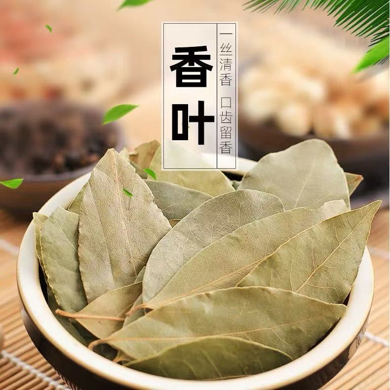 头茬香叶八荒广西净重月桂无熏食用调味料香料枇杷叶批发调料