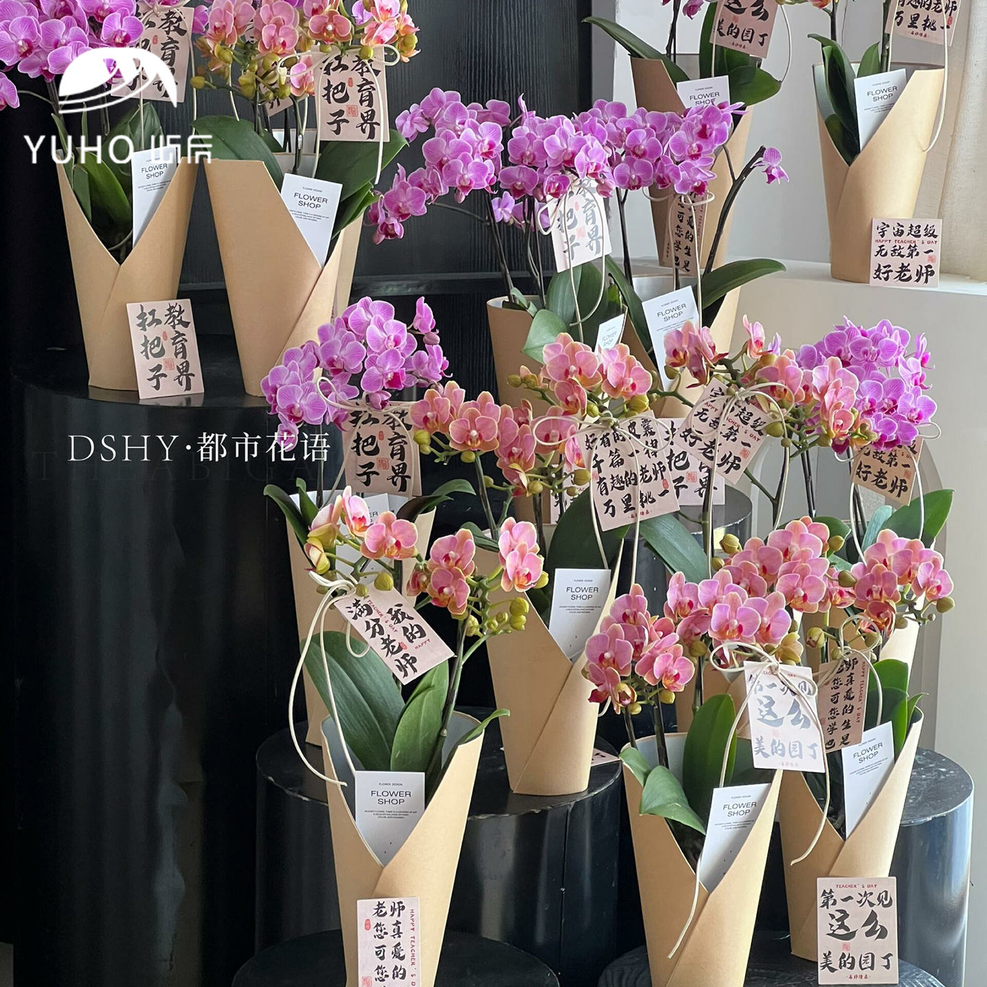 屿后 【教师节】冰淇淋成品礼盒鲜花插花蝴蝶兰花桶花店diy资材