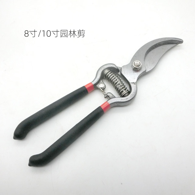 8寸10寸园艺果林树枝剪 多功能树枝剪园林剪刀 防滑手动修树枝剪