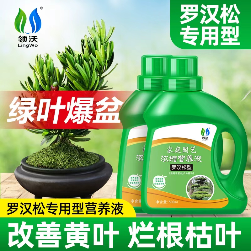 专用营养液植物盆栽发财树黄叶通用型肥料造景树营养液植物通用型