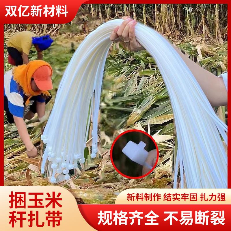 厂家捆玉米秸秆扎带专用尼龙塑料可循环使用捆玉米杆扎带捆绑固定