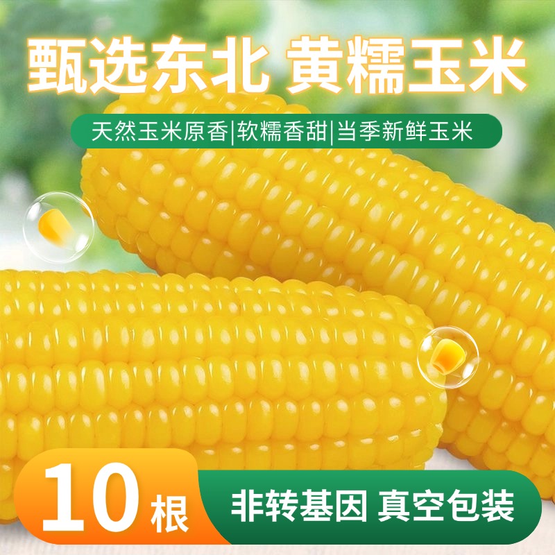 【25年新茬】黄糯玉米10根*250g软糯香甜农家真空锁鲜苞米早餐营养