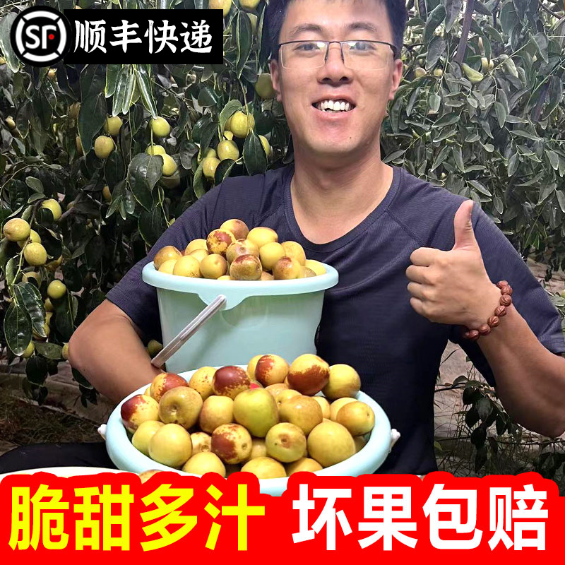 【顺丰包邮】陕西大荔冬枣脆甜大枣皮薄3/5斤原产地直发包邮礼盒