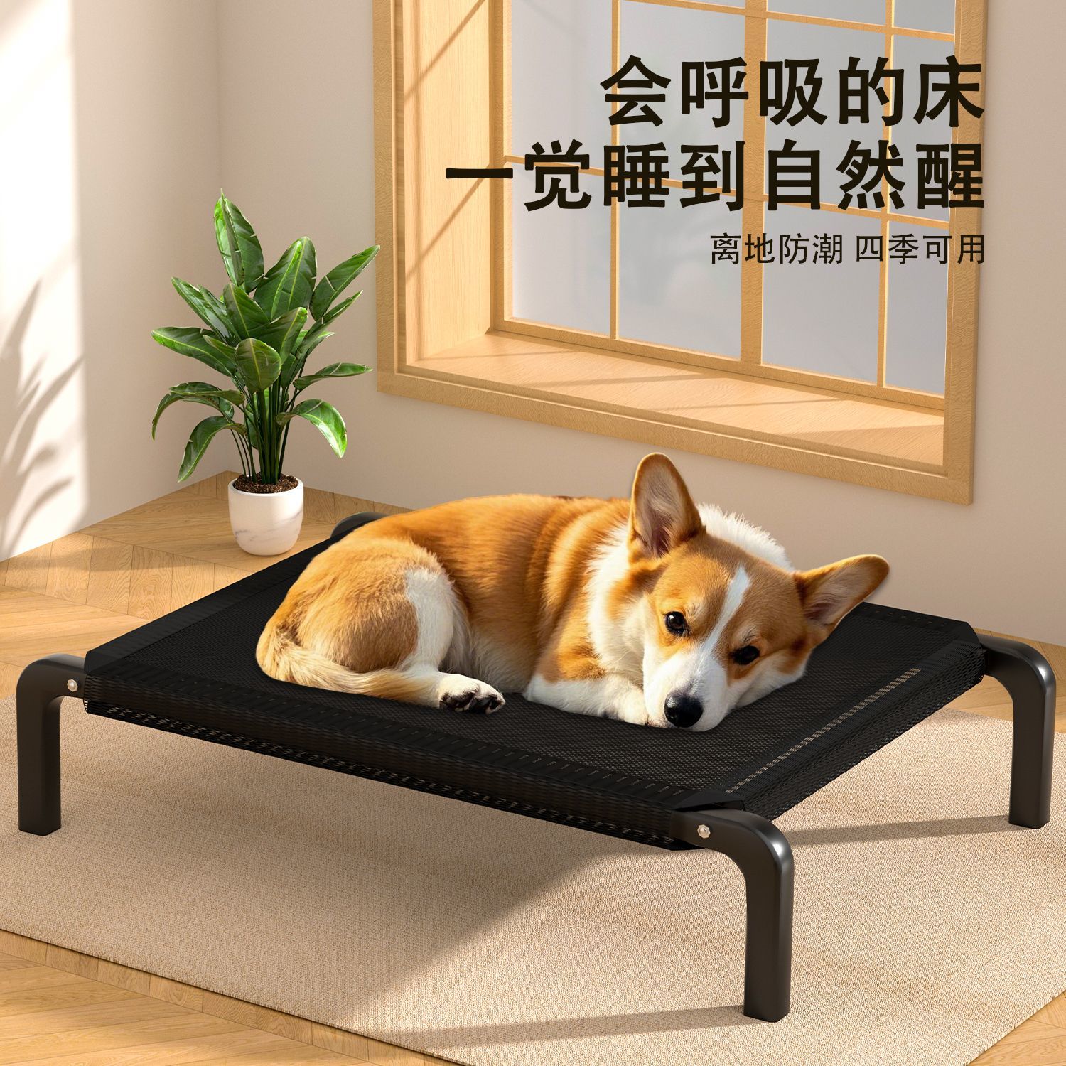 【148人在1小时内发货】四季通用宠物行军床防止磕碰萌宠的安心军床